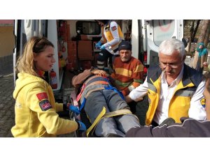 Mezarlıkta üzerine kesilen ağaç devrilen yaşlı adam ağır yaralandı