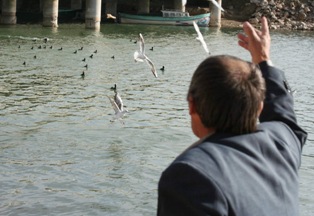 Su bisikletiyle su kuşlarını besliyor