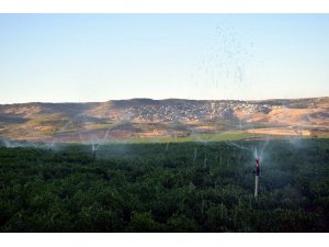 Modern basınçlı bireysel sulama tesisi ve makine ekipman başvuruları 1 martta sona eriyor