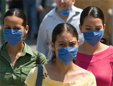 Gribin de aşının da domuzla ilgisi yok