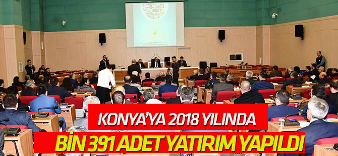 2018 yılında  Bin 391 adet yatırım yapıldı