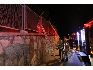 Maltepe’de korkutan orman yangını