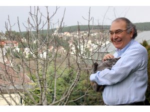 "Kedi, sevginin kokusuyla sahibine bağlanıyor"