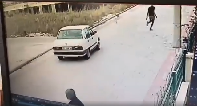 Otomobille köpeğe kasıtlı çarpma anı güvenlik kamerasında