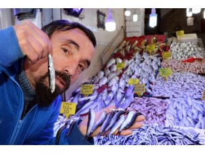 Karadeniz efsanesi hamsi geri döndü