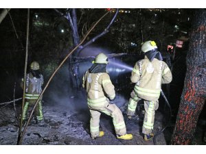 Şişli'de ağaçlık alanda yangın