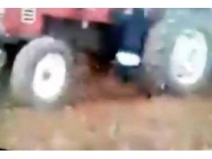 Binmeye çalıştığı traktörün altında ezildi