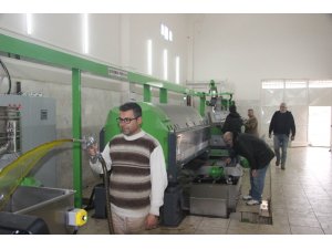 Zeytinyağının fiyatı geçen yıla göre düştü