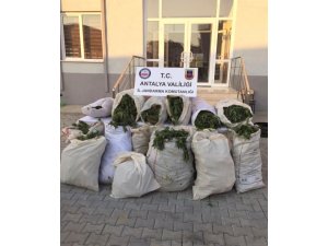 Alanya’da uyuşturucu tacirlerine ceza yağdı