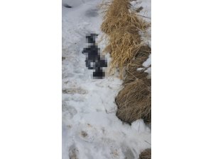 Doğubayazıt’ta kaybolan şahsın cesedi bulundu