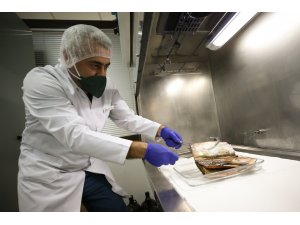 2 bin 765 faili meçhul, parmak izinden aydınlatıldı