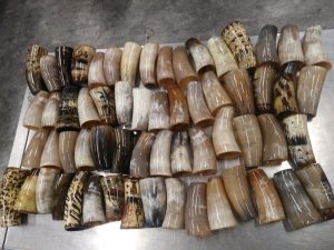 Atatürk Havalimanı’nda "manda boynuzu" operasyonu