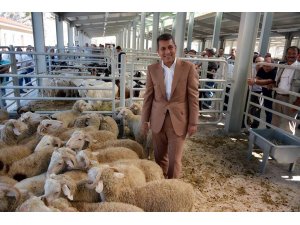 Nallıhan'a modern mezbaha