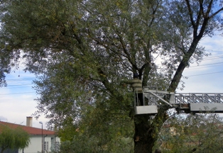 Mezarlıkların bakımı yapılıyor