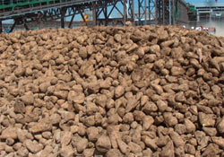 En karlı 6 şeker fabrikası satılıyor