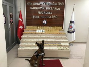 Narkotik köpeği  Zeyna ile Lisa 86 kilo eroin yakalattı