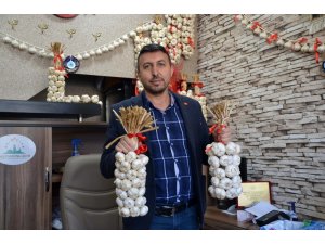 Sarımsak üreticisi fiyatlardan memnun