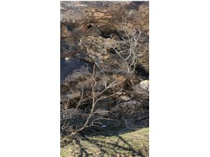 Şırnak'ta terör operasyonu