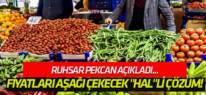 Gıda fiyatları aşağı çekecek "hal"li çözüm!