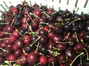 Yaş meyve sektörü 2023 hedeflerine üretici-ihracatçı birlikte ulaşacak