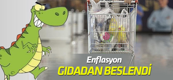 Fiyat artışları (Ocak 2019)