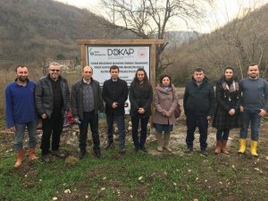 ODÜ’den fındık bahçelerinin yenilenmesine bilimsel destek