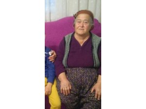 Tarla tapusu ölüme neden oldu