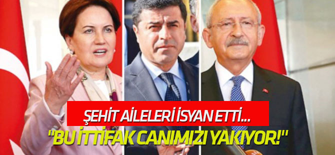 "Bu ittifak PKK’dan daha çok canımızı yakıyor!"
