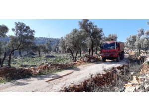 Kaş’ta zeytinlik alanda yangın