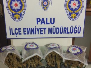 Elazığ’da 4 kilo esrarla yakalanan 2 şüpheli tutuklandı