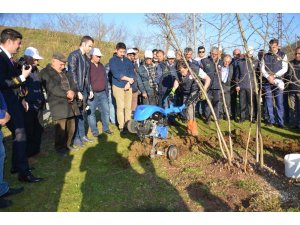 Fındık bahçelerinde doğru uygulamalar verimi arttırıyor