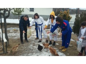 Çubuk'ta öğrenciler atıklarla tavuk besliyor