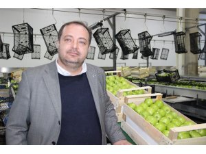 Karaman’da elmanın depo çıkış fiyatı 1,5 ila 2,5 lira arasında değişiyor