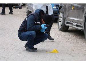 Kayın biraderine üç kurşun sıktı