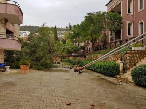 Fırtına, turizm merkezi Kalkan’da ağaçları devirdi, çatıları uçurdu