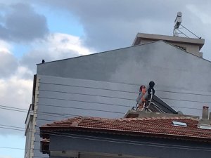 Çatıda mahsur kalan yavru kedi kurtarıldı