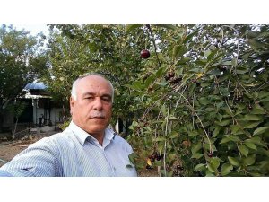 Üst geçidin altından karşıya geçmeye çalışırken öldü