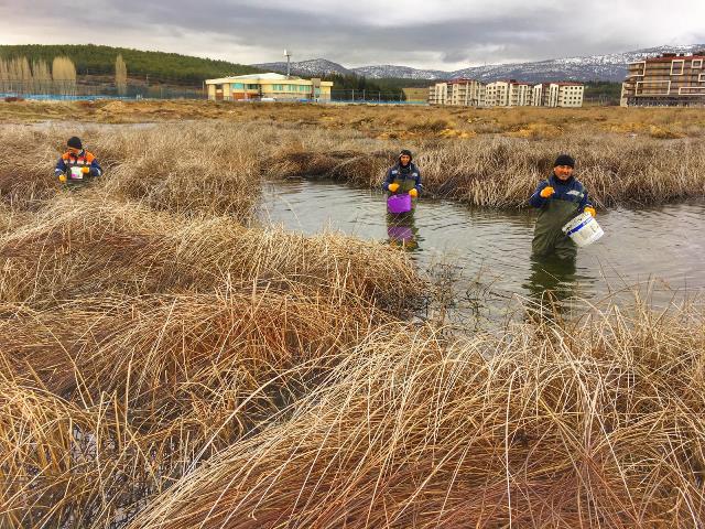 Beyşehir'de haşereyle larva dönemi mücadelesi