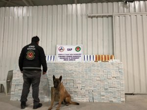 Çobanbey Sınır Kapısı’nda 30 bin paket kaçak sigara ele geçirildi