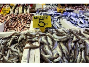 Karadeniz hamsisi Gürcistan’a kaçtı