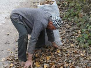 Gazeller toplanıyor