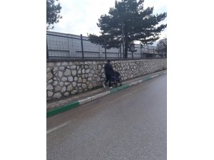 Bebek arabalı hırsız yakalandı