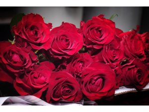 Sevgililer rahat ‘Gül’ecek