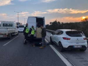 Göçmen kaçakçılığı şebekesinin kasası dansçı çıktı
