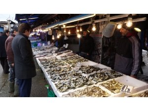 Hafta sonu hamsi almak için balıkçılara giden Trabzonlular hamsi bulamayınca büyük şok yaşadı