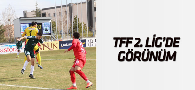 TFF 2.Lig'de görünüm