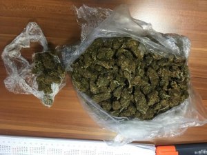 Tokat’ta torbacı operasyonu: 13 tutuklama