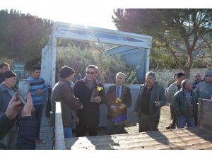 Kuşadası’nda 8 bin 600 zeytin fidanı dağıtıldı