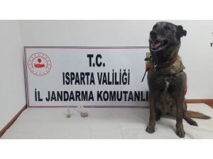 Jandarmadan dedektör köpekli uyuşturucu operasyonu