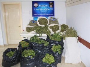 Uyuşturucu imalathanesine baskında 124 kilo shank ele geçirildi